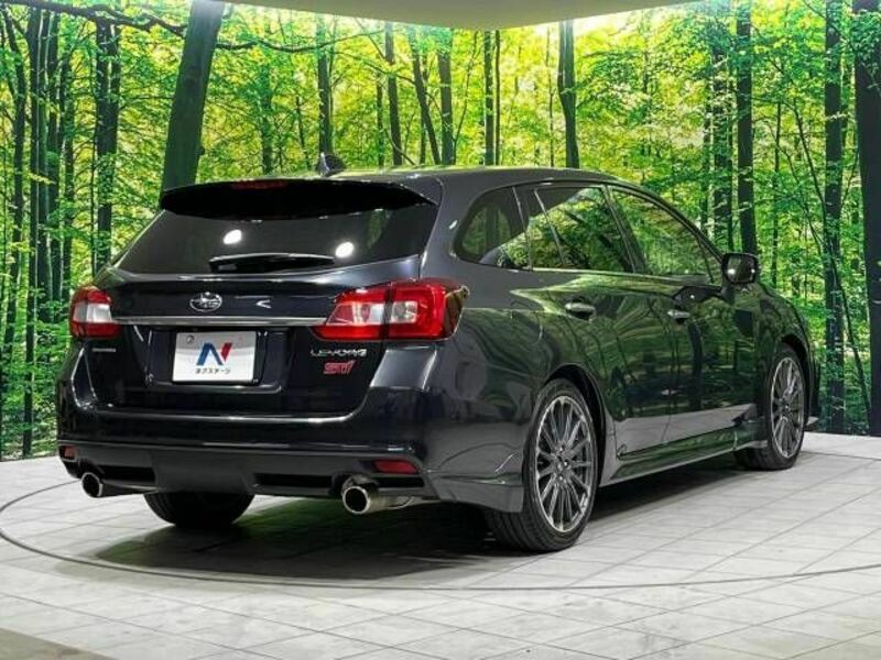 LEVORG