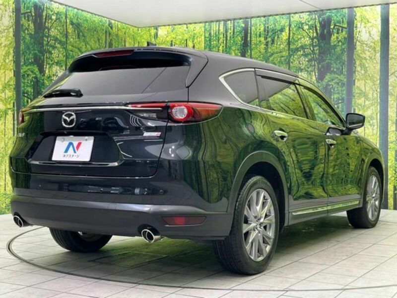 CX-8