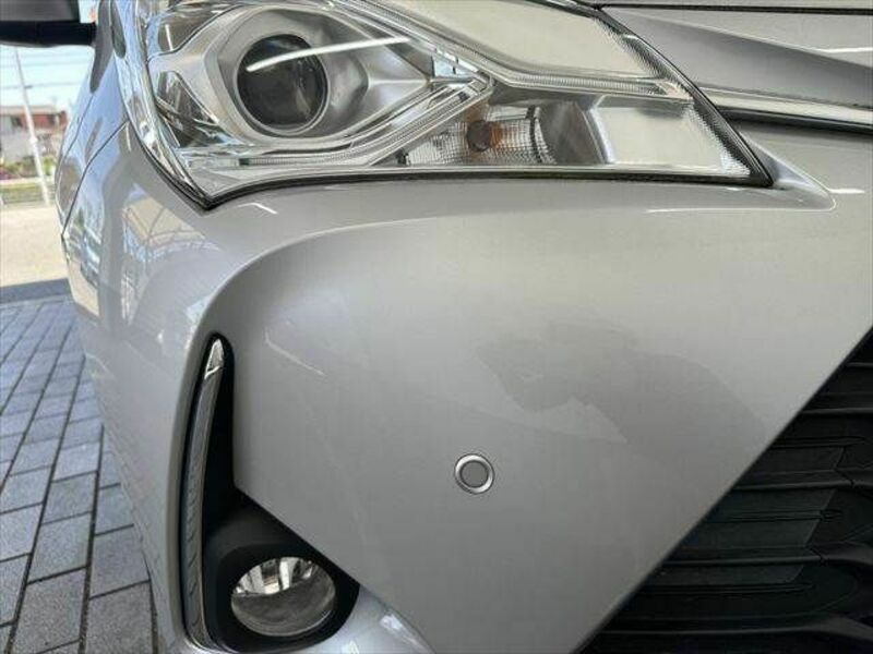 VITZ-19
