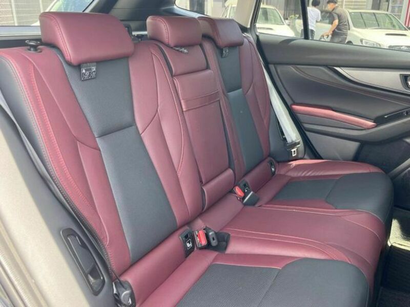 LEVORG-9
