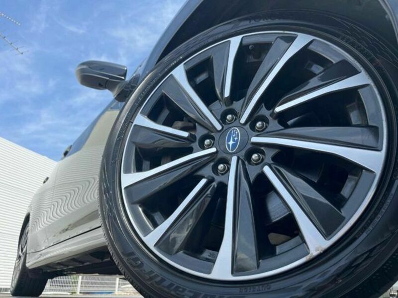 LEVORG-11