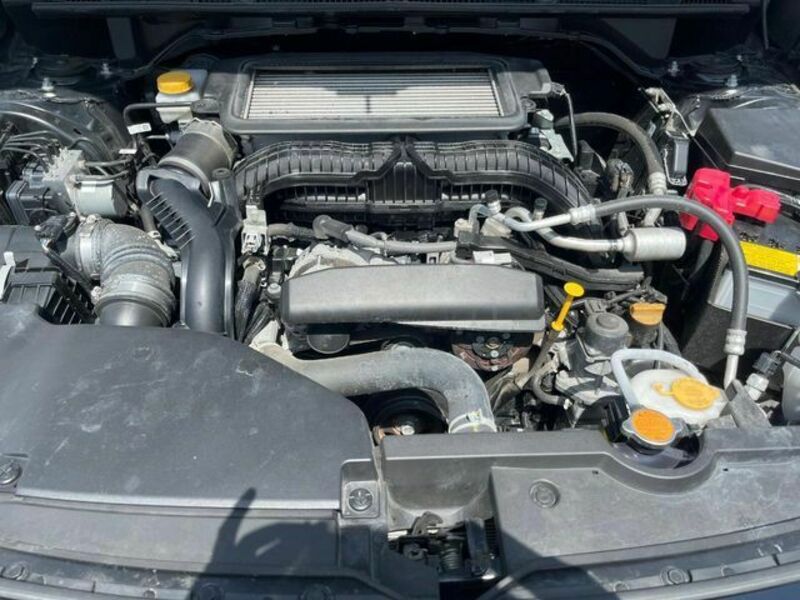 LEVORG-17