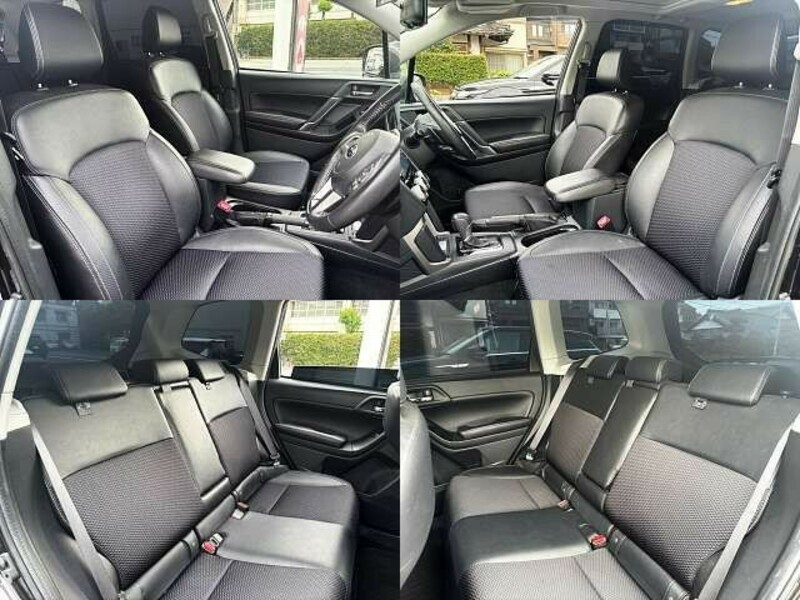 FORESTER-3