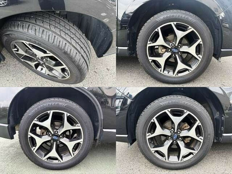 FORESTER-7