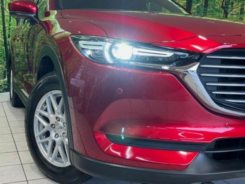 CX-8