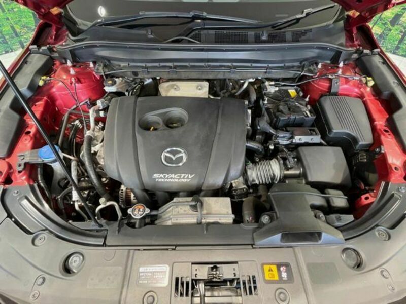 CX-8