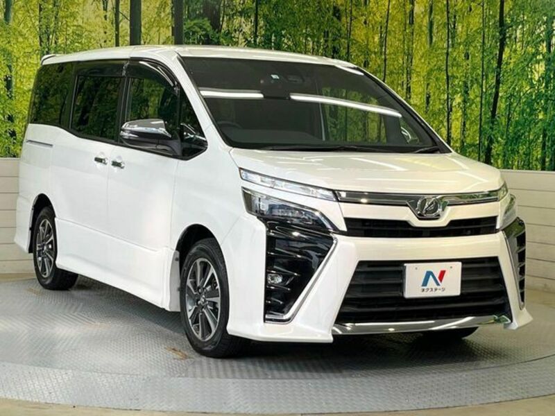 VOXY-17