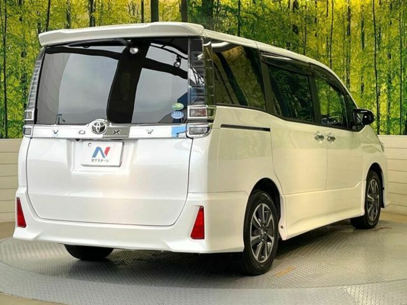 VOXY-18