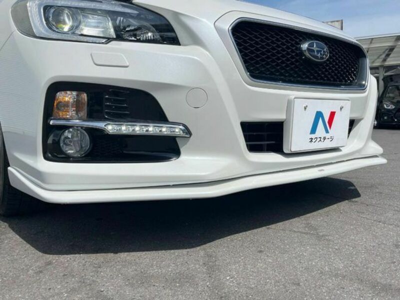 LEVORG
