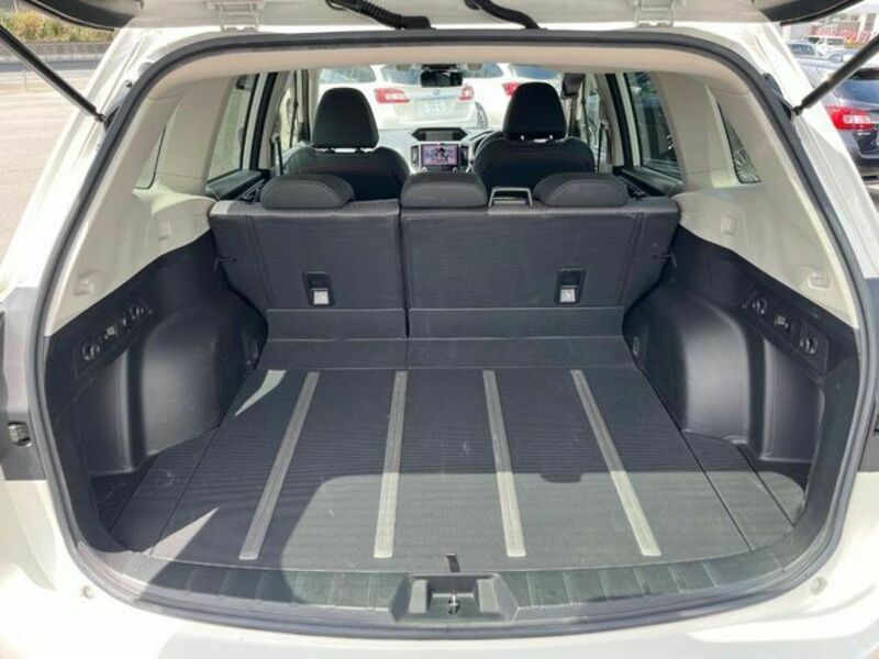 FORESTER-13