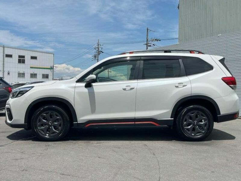 FORESTER-19