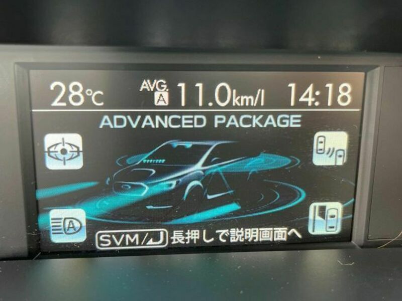 LEVORG