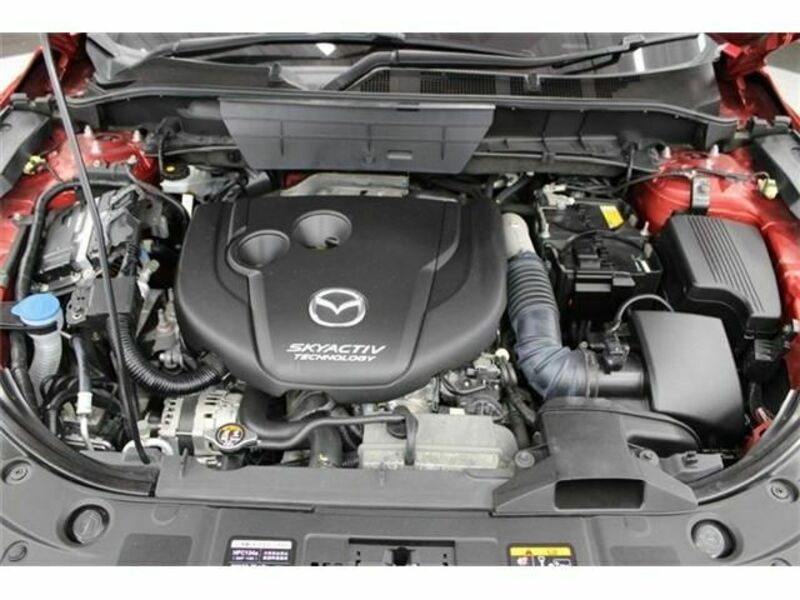 CX-8