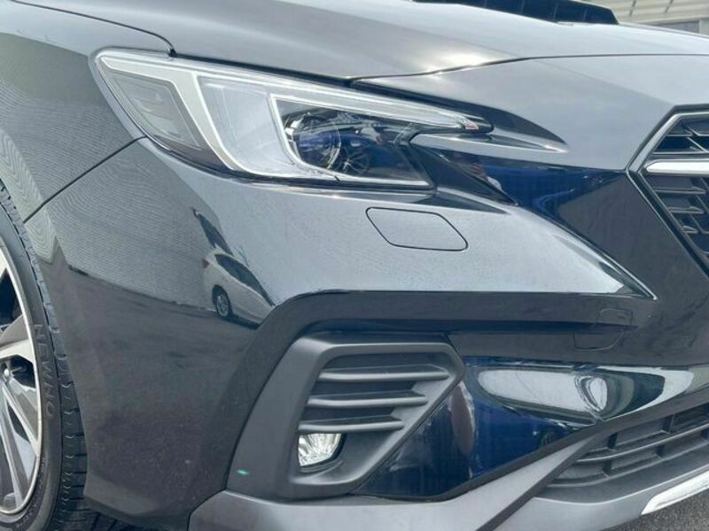 LEVORG-12
