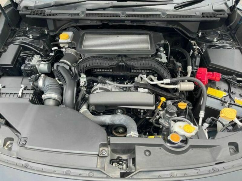 LEVORG-17