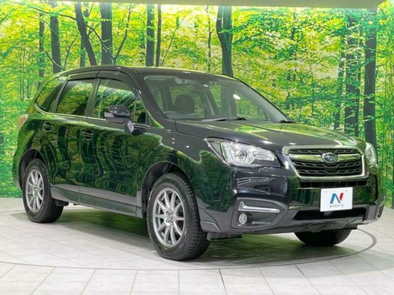 FORESTER-15