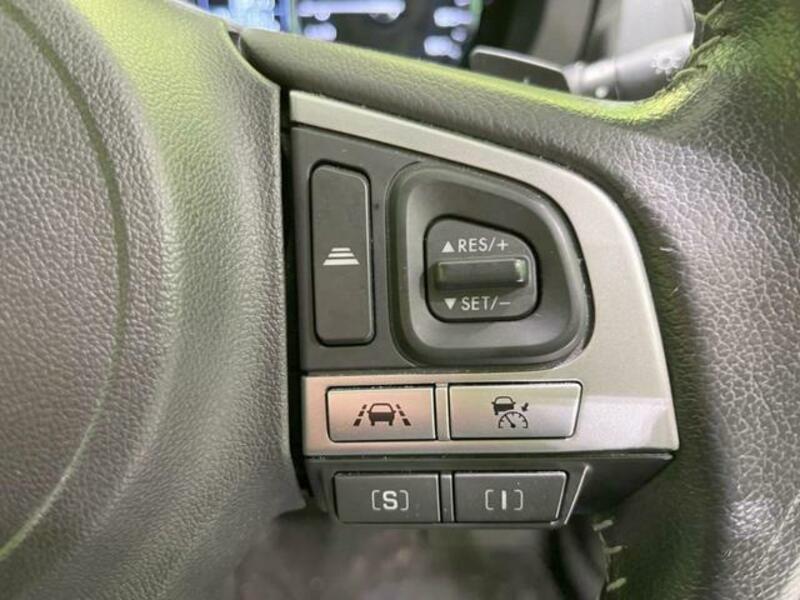 FORESTER-5