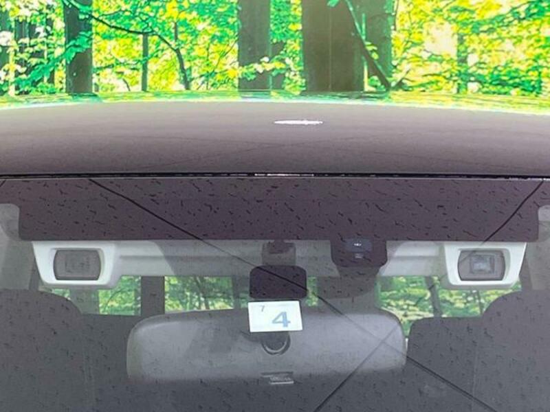 FORESTER-2
