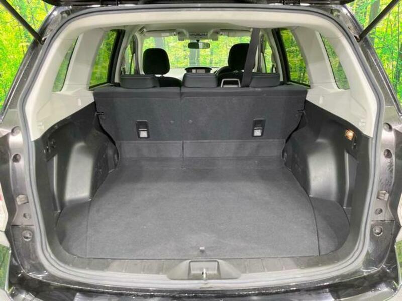 FORESTER-9
