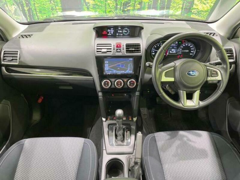 FORESTER-1