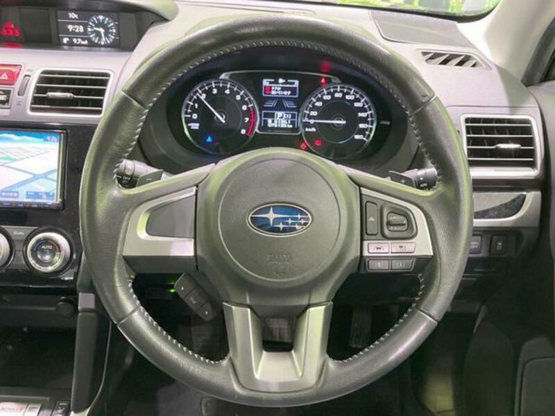 FORESTER-10