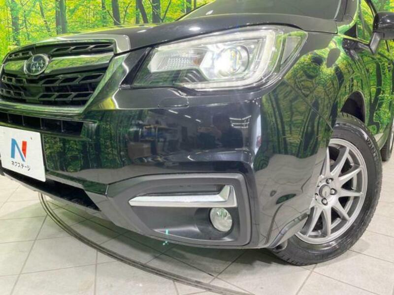 FORESTER-11