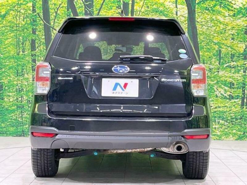 FORESTER-14