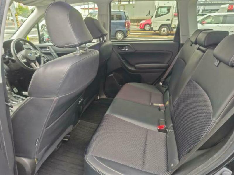 FORESTER-16