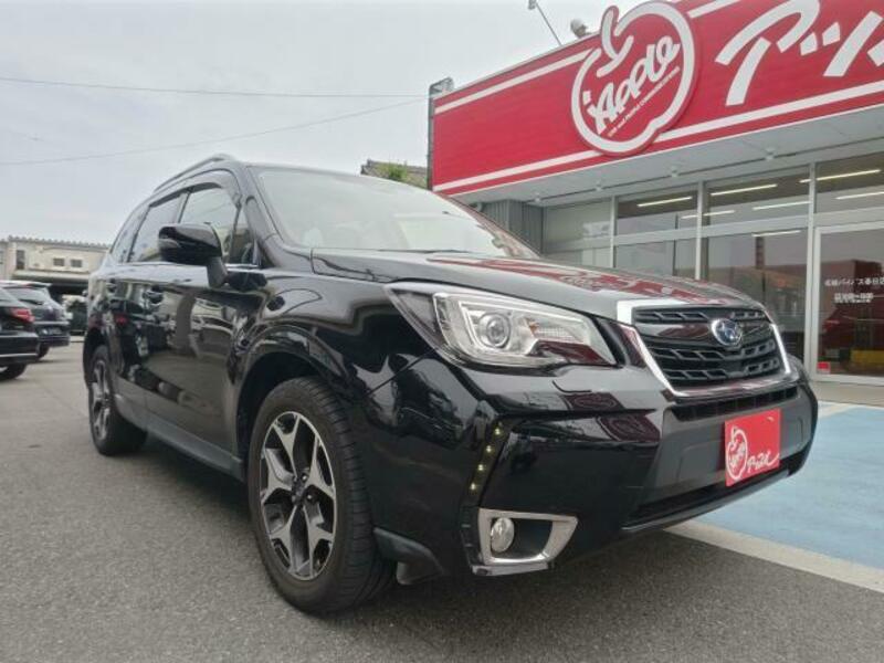 FORESTER-6