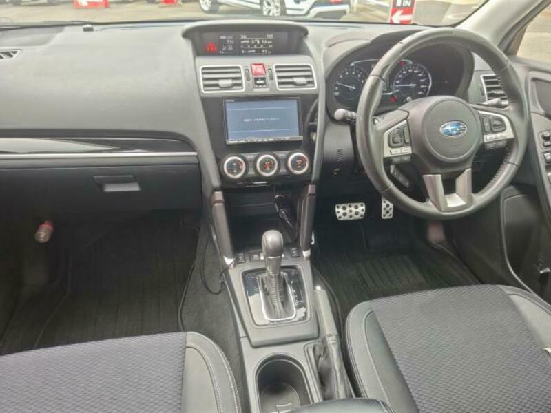 FORESTER-2