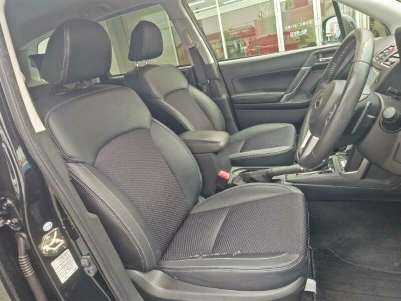 FORESTER-17