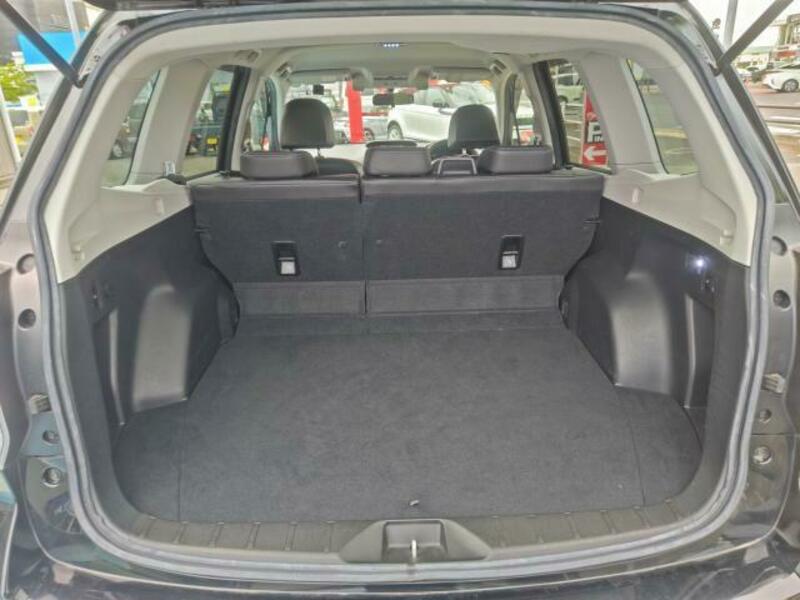 FORESTER-18
