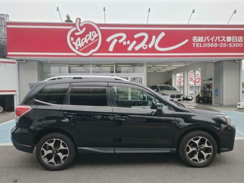 FORESTER-8