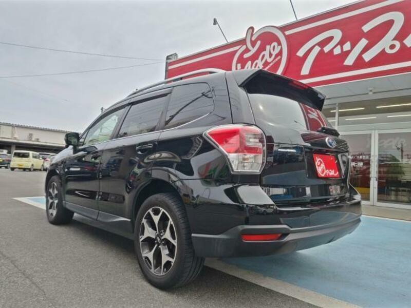 FORESTER-1