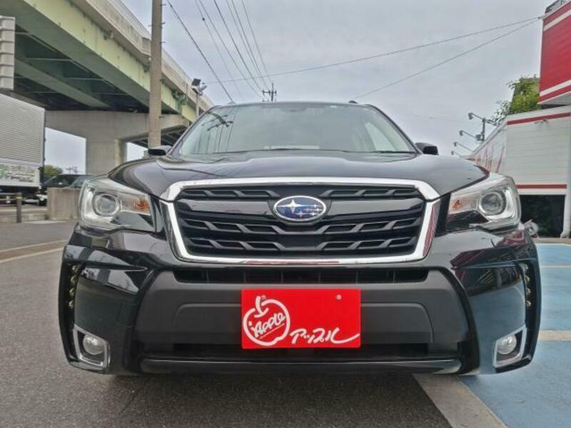 FORESTER-3