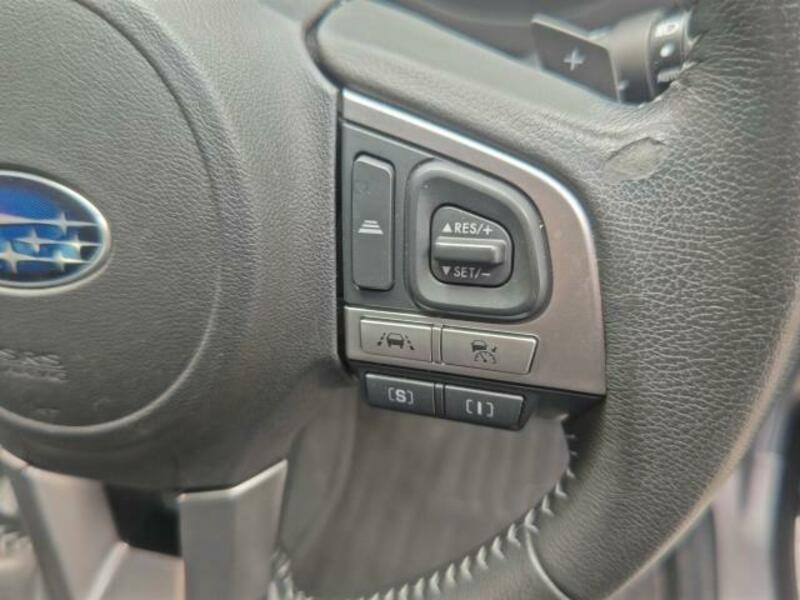 FORESTER-11