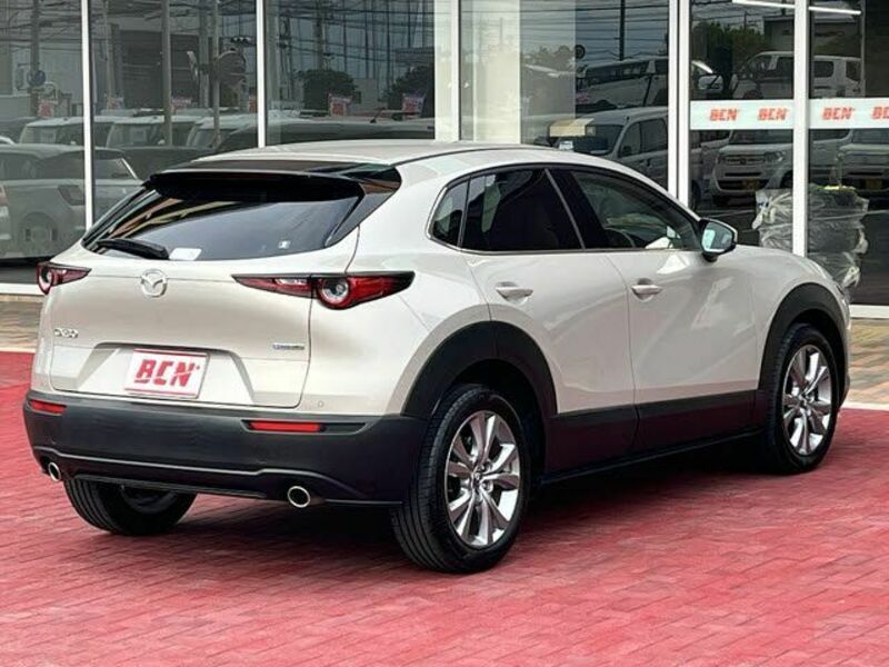 CX-30