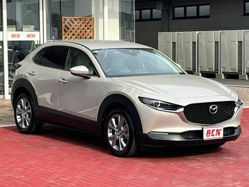 CX-30