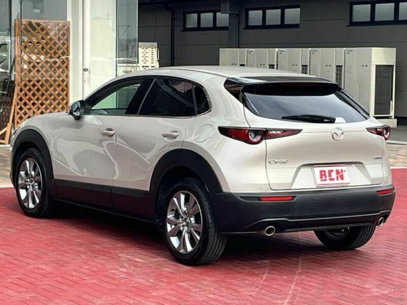 CX-30