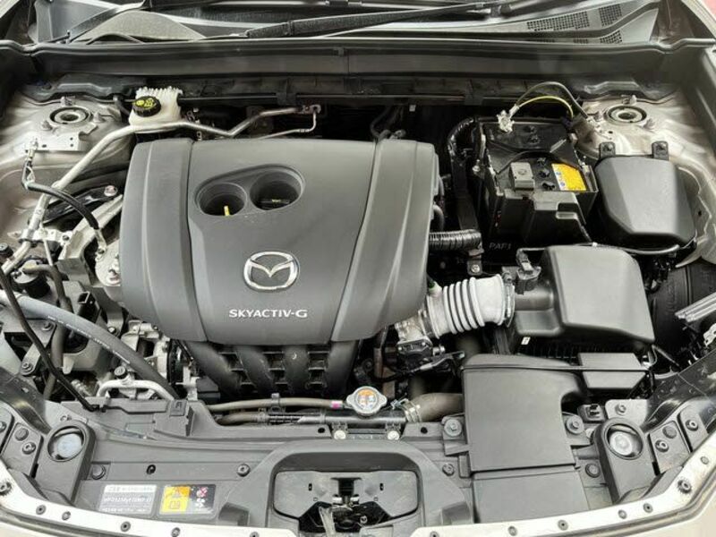 CX-30