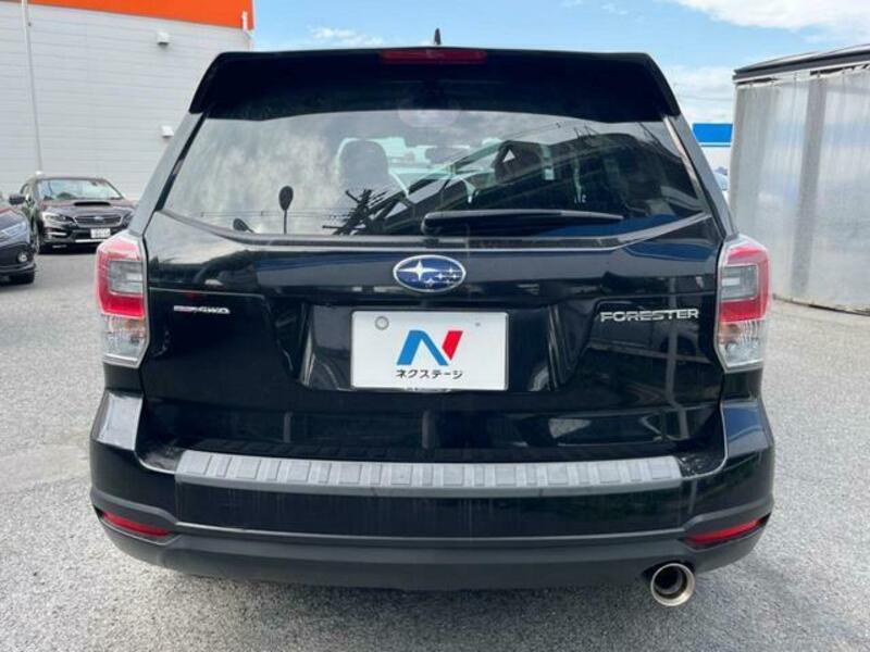 FORESTER-15