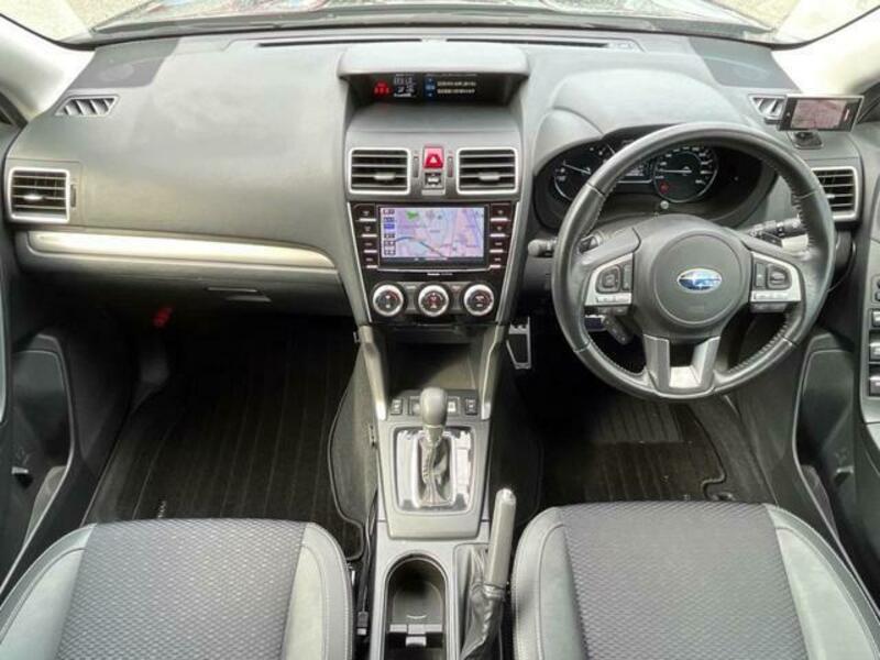 FORESTER-1