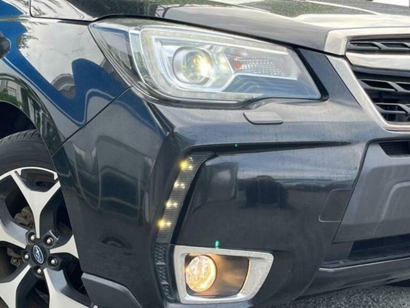 FORESTER-13