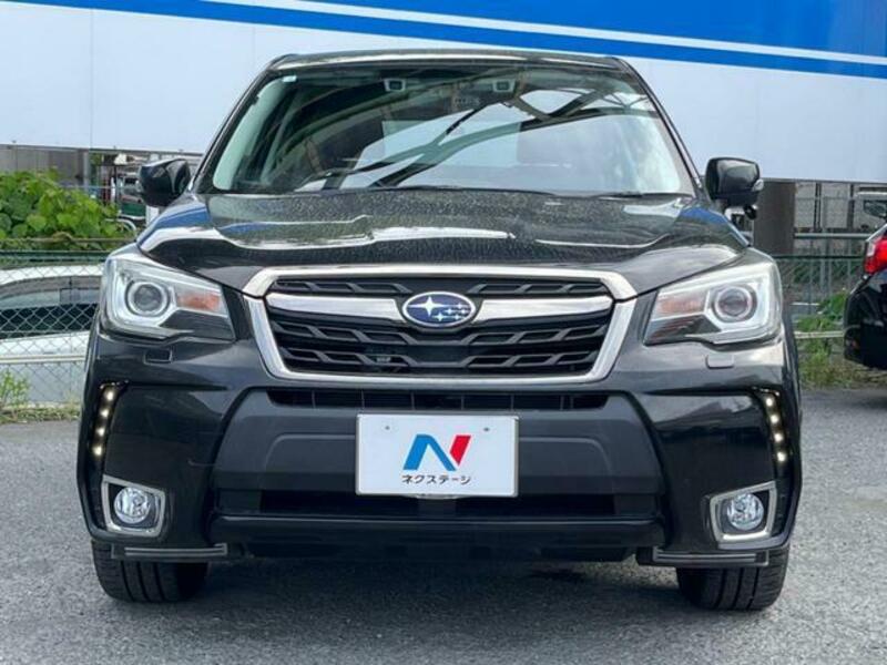 FORESTER-14