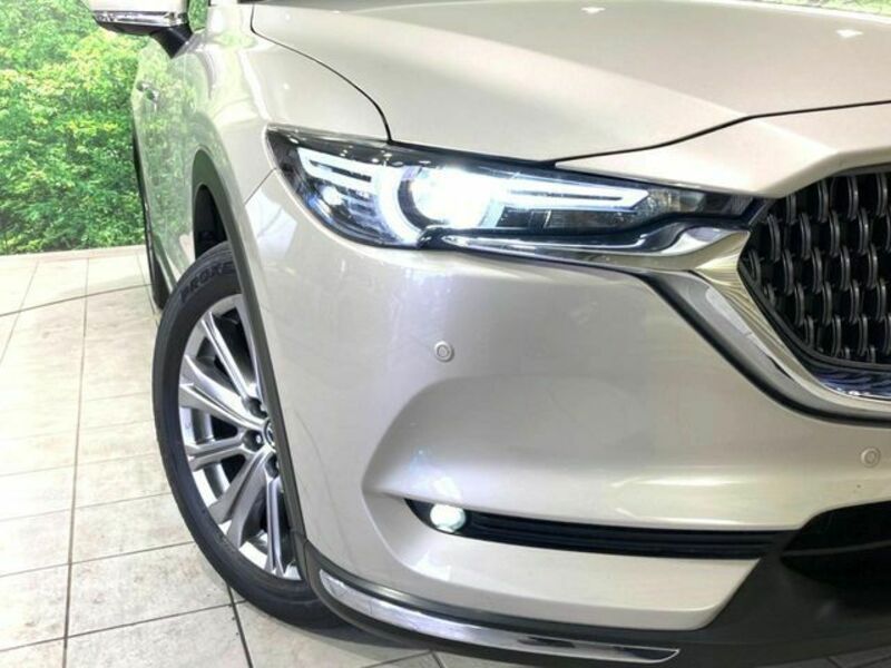 CX-8