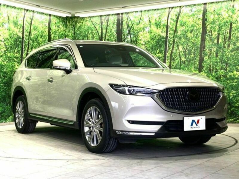 CX-8