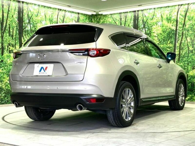 CX-8
