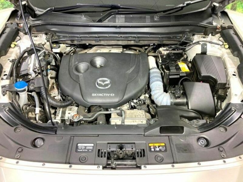 CX-8