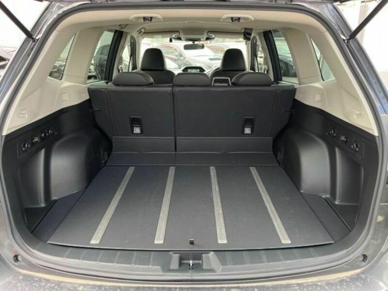 FORESTER-14