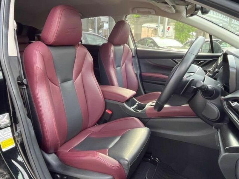 LEVORG-2